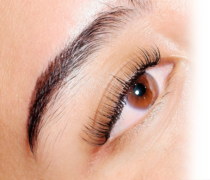Lavish Lashes