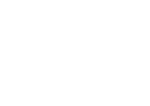 Passionails Logo
